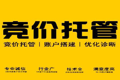 SEM竞价推广案例：电商行业成功案例解析